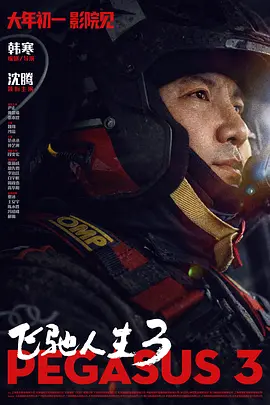 91精品国产91久久久久久三级