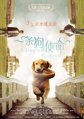 日产精品卡一卡2卡三卡乱码工厂