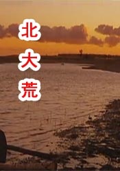 女性女士