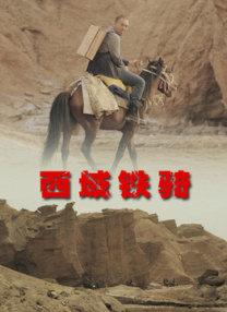 成人午夜一区二区三区视频