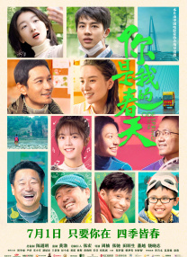 伊人久久视频