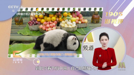 亚洲欧洲av一区二区